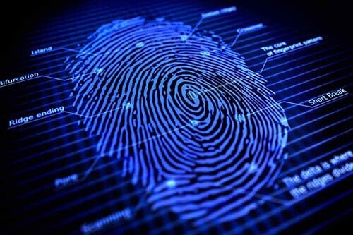ỨNG DỤNG CÔNG NGHỆ LIVE SCAN TRONG KHÓA CỬA VÂN TAY 29 live-scan